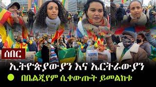 Ethiopia: ሰበር - ኢትዮጵያውያን እና ኤርትራውያን በቤልጂየም ሲቀውጡት ይመልከቱ | Ethiopians and Eritreans in Belgium  | TPLF