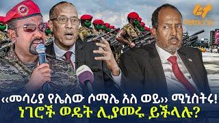 Ethiopia - ‹‹መሳሪያ የሌለው ሶማሌ አለ ወይ›› ሚኒስትሩ! ነገሮች ወዴት ሊያመሩ ይችላሉ?