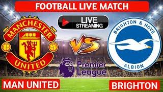 Manchester United Vs Brighton Live Match Football ???? Ao Vivo