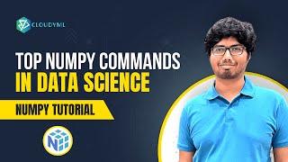 Top numpy commands in data science | Numpy tutorial