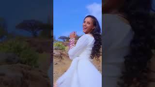 ፍልቅልቋ | Ethiopian Music 2023 #shorts #ethiopianmusic