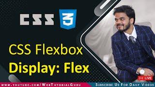 ???? 20. CSS Display flex property in CSS | HTML CSS Flex Class Hindi | #html #htmlcss #htmlcsswebin