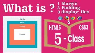 What is Margin Padding display-flex  HTML5 CSS3 class5