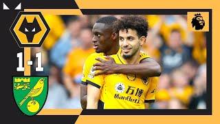 Wolves vs Norwich City 1-1 Highlights | Premier League - 2021/2022