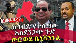 ሰበር መረጃ - “ጦር ወደ ቤኒሻንጉል” ከግብጽ የተሰማው አስደንጋጭ ጉድ - Addis Monitor - GERD - Ethiopia