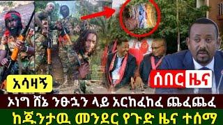 Ethiopia:ሰበር | አሳዛኝ ዜና ኦነግ ሸኔ ንፅኋንን ጨፈጨፈ አርከፈከፈባቸው | ከጁንታዉ መንደር የጉድ ዜና ተሰማ እግዚኦ | Abel Birhanu