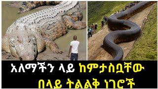 አለማችን ላይ ከምታስቧቸው በላይ ትልልቅ ነገሮች - Zena Maleda - Seifu ON EBS - ድንቅ ልጆች