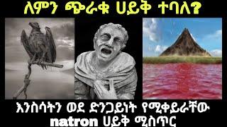 ለምን ጭራቁ ሀይቅ ተባለ ? እንስሳት ወደ ድንጋይነት የሚቀይራቸው natron ሀይቅ ሚስጥር