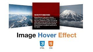 Create Advance Image Hover Effect using only HTML/CSS | Code | Scratch | Animate | Coding Tutorial |