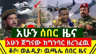 ሰበር - ጀግናዉ በግንባር ታላቅ ድል ተበሰረ ሙሉ በሙሉ ዘረገፈዉ ቅሌቱ ወጣ እንደቅጠል እረገፈ | ዉጫሌ፡ ቆቦ፡ ወልዲያ አሁን ሰበር | Abel Birhanu