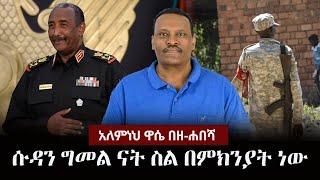 Alemneh Wase BeZehabesha - (አለምነህ ዋሴ በዘ-ሐበሻ) -  ሱዳን ግመል ናት ስል በምክንያት ነው