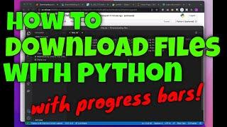 How to download files in Python with progress bars