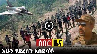 አስደንጋጭ የጦርነቱ አስከፊ ethiopian news,zehabesha,tigray news,the habesha, tmh, tdf, z habesha, zena tube