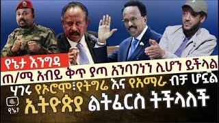 ጠ/ሚ አብይ ቅጥ ያጣ አንባገነን ሊሆን ይችላል | ሀገሩ የኦሮሞ፣የትግሬ እና የአማራ ብቻ ሆኗል የፖለቲካ ተንታኝ ኃይለመስቀል በሸዋም የለህ