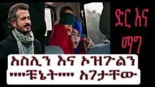 Dir Ena Mag episode 32 - አስሊን እና ኦዝጉልን ቹኔት አገታቸው|ድር እና ማግ ክፍል 32| Shimya episode 116|ሽሚያ ድራማ ክፍል 116