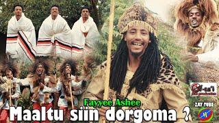 Fayyee Ashee - Maaltu siin dorgoma - New Ethiopian Oromo cultural music - 2022 / 2015 official video