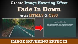 Create Image Hover Effects using HTML and CSS Only | Fade In Down Effect | Effect 3 | tanzTalks.tech