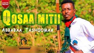 Abbabaa Tashoomaa -  Qosaa mitii/ New Ethiopian Oromo music 2021 (Official video)