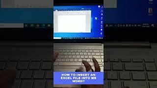 How to Insert an Excel file into MS Word?