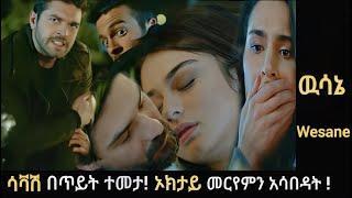 Wesane Episode ሳቫሽ በጥይት ተመታ! | ኦክታይ መርየምን አሳበዳት ! |Kana Television| Kana Mert |Ethiopia