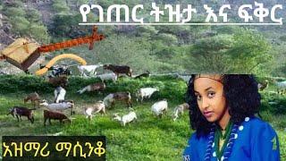 ????ምርጥ የፍቅር እና የትዝታ አዝማሪ ማሲንቆ Ethiopian best traditional azimari masinko/abebe  Kassim wollo???????