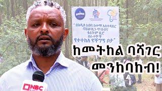 ``በአዲስ አበባ ከተማ አስተዳደር ባህል ፣ኪነጥበብና ቱሪዝም ሰራተኞች የተተከለ የችግኝ ቦታ``NBC Ethiopia