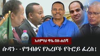 Alemneh Wase BeZehabesha - (አለምነህ ዋሴ በዘ-ሐበሻ) -  ሱዳን--የግብፅና የአረቦች የትሮይ ፈረስ!