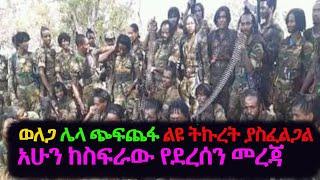 ትኩረት ለወለጋ | ወለጋ ሌላ ጭፍጨፋ ልዩ ትኩረት ያስፈልጋል አሁን ከስፍራው የደረሰን መረጃ Ethiopia News | wollega News