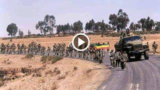 ሰበር የድል ዜና Ethiopian News Ethiopia Today December 2, 2021 Zehabesh