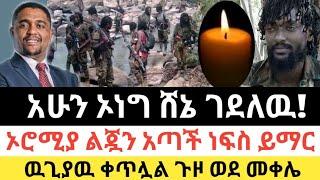 Ethiopia - ሰበር | አሁን በኦነግ ሸኔ ተገደሉ | ኦሮሚያ ትልቅ ሰዉ አጣች | ደሬ ኒዉስ | ፈታ ደይሊ | Zehabesha | Abel birhanu