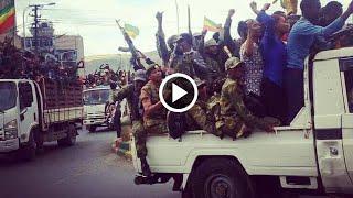 ሰበር ዜና Ethiopian News November 4, 2021 tigray | esat | seifu on ebs | zehabesha | abel birhanu