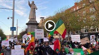 የአሁን ሰበር ዜና Ethiopian News Ethiopia Today November 29, 2021 Zehabesh