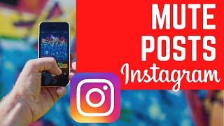 How to mute someone on Instagram without unfollowing them | How to Hide People on Instagram