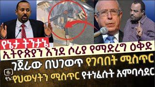 ኢትዮጵያን እንደ ሶሪያ | ገጀራው የገባበት ሚስጥራዊ ዕቅድ | የህወሃትን ሚስጥር የተነፈሱት የእስራኤሉ አምባሳደር