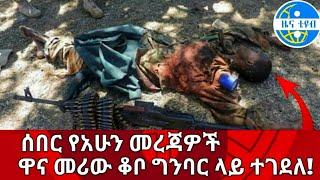 አሁን የደረሰን ሰበር ዜና: Breaking News Ethiopia| Zena tube| Ethiopian News| Zehabesha| Esat| Abel birhanu