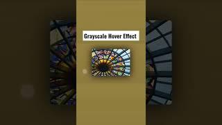 Grayscale Hover Effect | HTML CSS Tutorial | #csstutorial #html5 #css3 #hovereffect #shorts