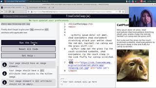 One Hour Studywithme! freeCodeCamp Basic HTML and HTML5.