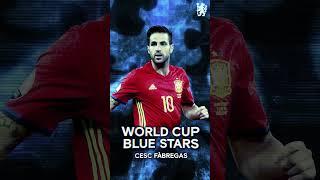 'A sumptuous move!' | Cesc Fabregas | World Cup Blue Stars ???? #worldcup2022 #shorts