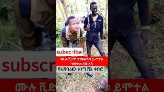 ሰበር ቪድዮ|ዋናዎቹ በቁጥጥር ስር ገቡ|#shorts