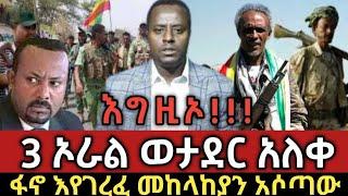 እግዚኦ ለጉድ መከላከያ ረገፈ ፋኖ እየገረፈ አሶጣው | feta daily | ethioforum | zehabesha |