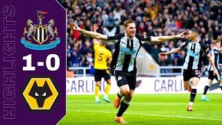 Newcastle vs Wolves 1-0 Highlights All Goals | Premier League 2021/2022