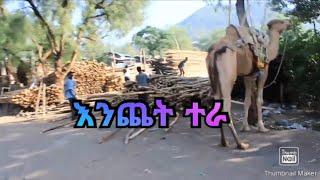 ሀብሩ መርሳ አባገትየ #እንጨት_ተራ የሚያምር ድባብ ||ሀብሩ ሚድያ||Habru media