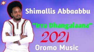 Shimallis Abbaabbuu "Irra Dhangalaana New 2021 Ethiopian Oromo Music (Official Video)