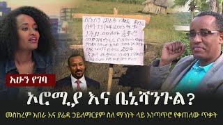 Ethiopia: አሁን የገባ - ኦሮሚያ እና ቤኒሻንጉል?  | Meskerem Abera | Yared Hailemariam | DW