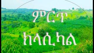 Best Ethiopian Instrumental Music Collections  Ethiopian Classical Music 2