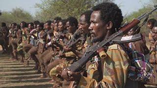 War in Ethiopia: Oromo Liberation Army advances towards Addis Ababa • FRANCE 24 English