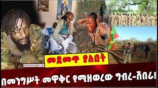 Ethiopia: በመንግሥት መዋቅር የሚዘወረው ግብረ-ሽበራ❗️ Ethiopian |Conflict |Jal Maro |Benishangul liberation front