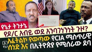 አፈትልኮ የወጣው የ CIA ሚስጥራዊ ሰነድ እና በኢትዮጵያ የሚሰራው ደባ | ጠ/ሚ አብይ ወደ አንባገንበንነት ጉዞ?