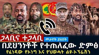 ሰበር-በደህንነቶች የፈነዳው የኦነግ እና የህወሃት ልዩ ኦፐሬሽን | የተጠለፈው ሙሉ የስልክ ግንኙነት | Tdf | OLF| wollo 24