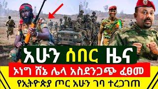 Ethiopia: ሰበር - ሌላ አስደንጋጭ በኦነግ ሸኔ ተፈፀመ | የኢትዮጵያ ጦር አሁን ገባ ተረጋገጠ | ፕሬዝዳንቷ አሁን ሰበር አፈረጡ | Abel Birhanu